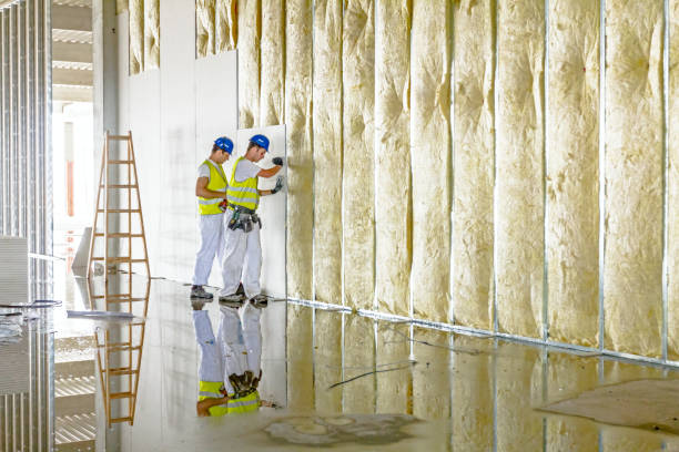 Best Residential Insulation in Washburn, WI